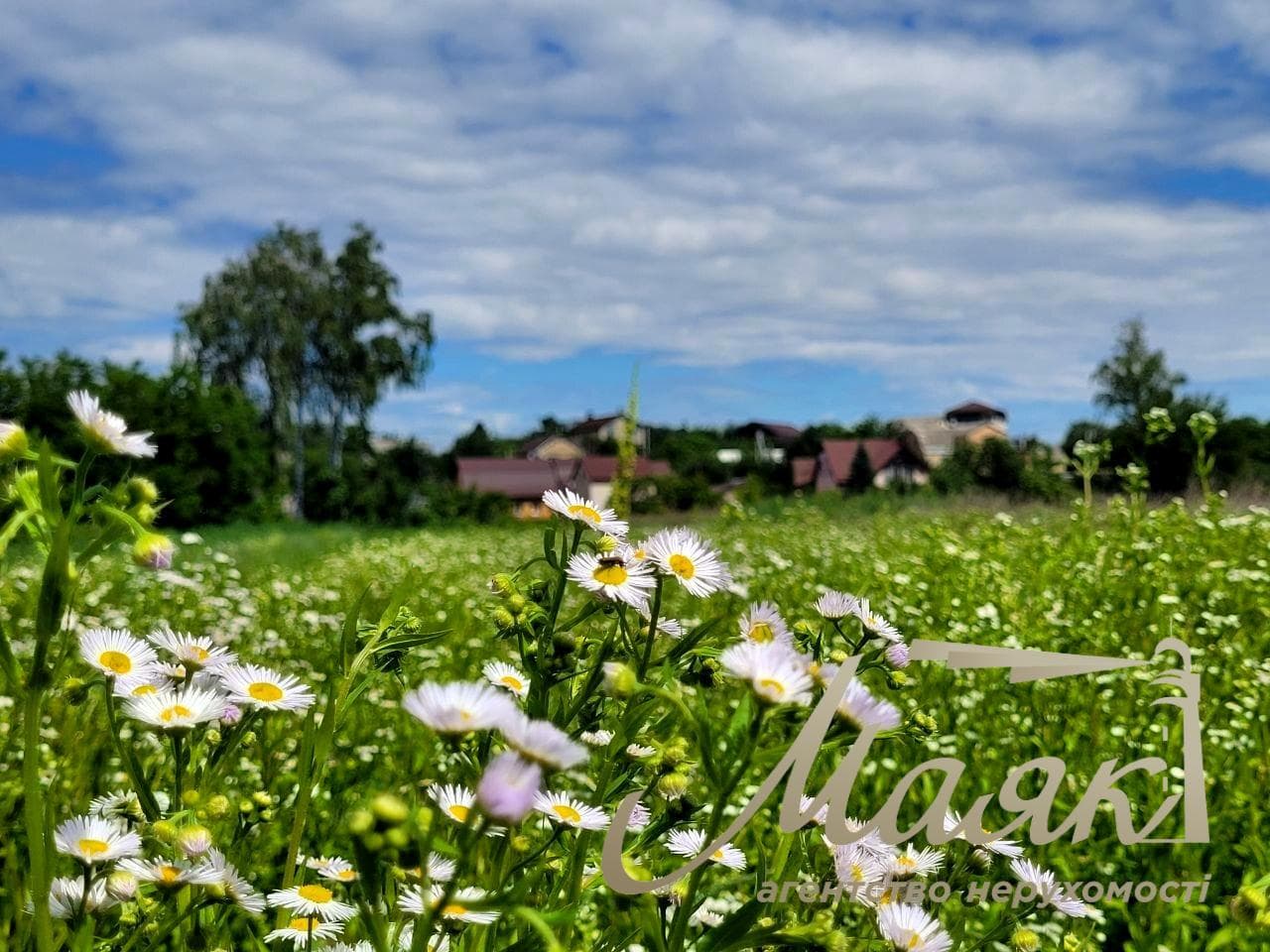 Продаж земельної ділянки площею 18,34 сотки під забудову, с. Ходосівка, Новообухівський напрямок, Київська область, вул. Миколи Островського