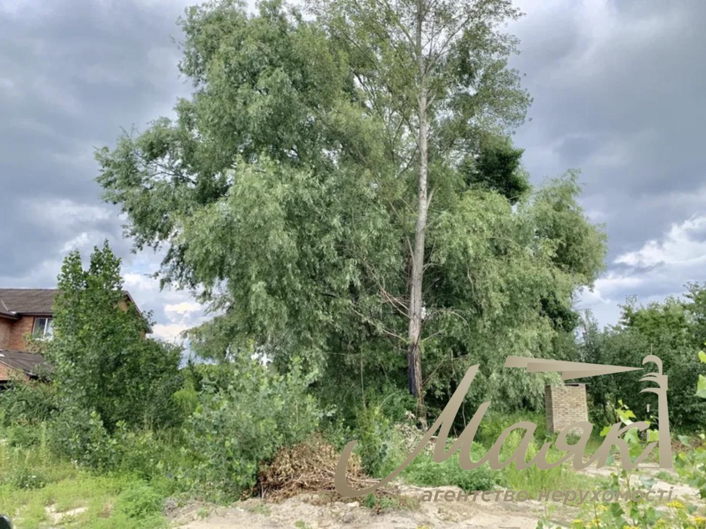 Land plot for sale in Chapaevka village/Vita Litovska str. Yuriy Lavrov, Goloseevskyi district, Kyiv