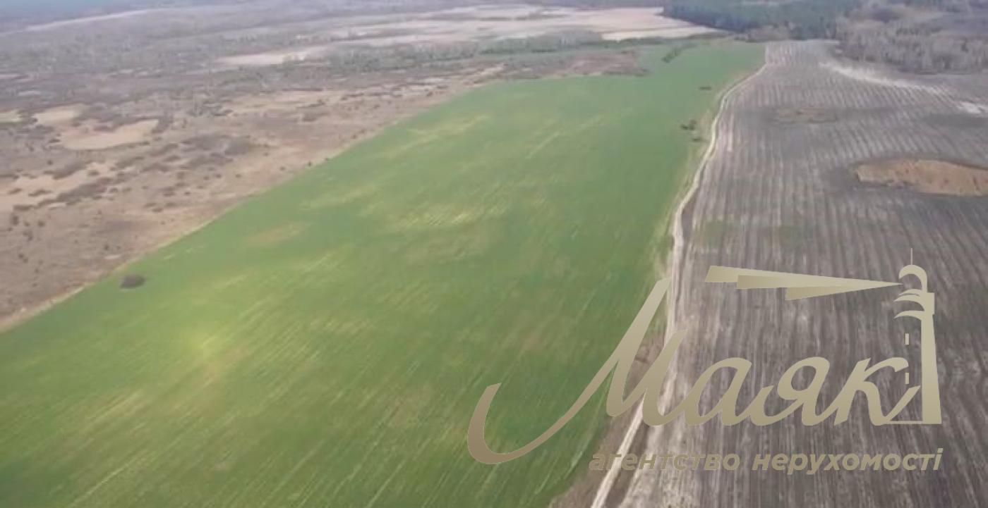 Sale of agricultural land. Brovarsky district