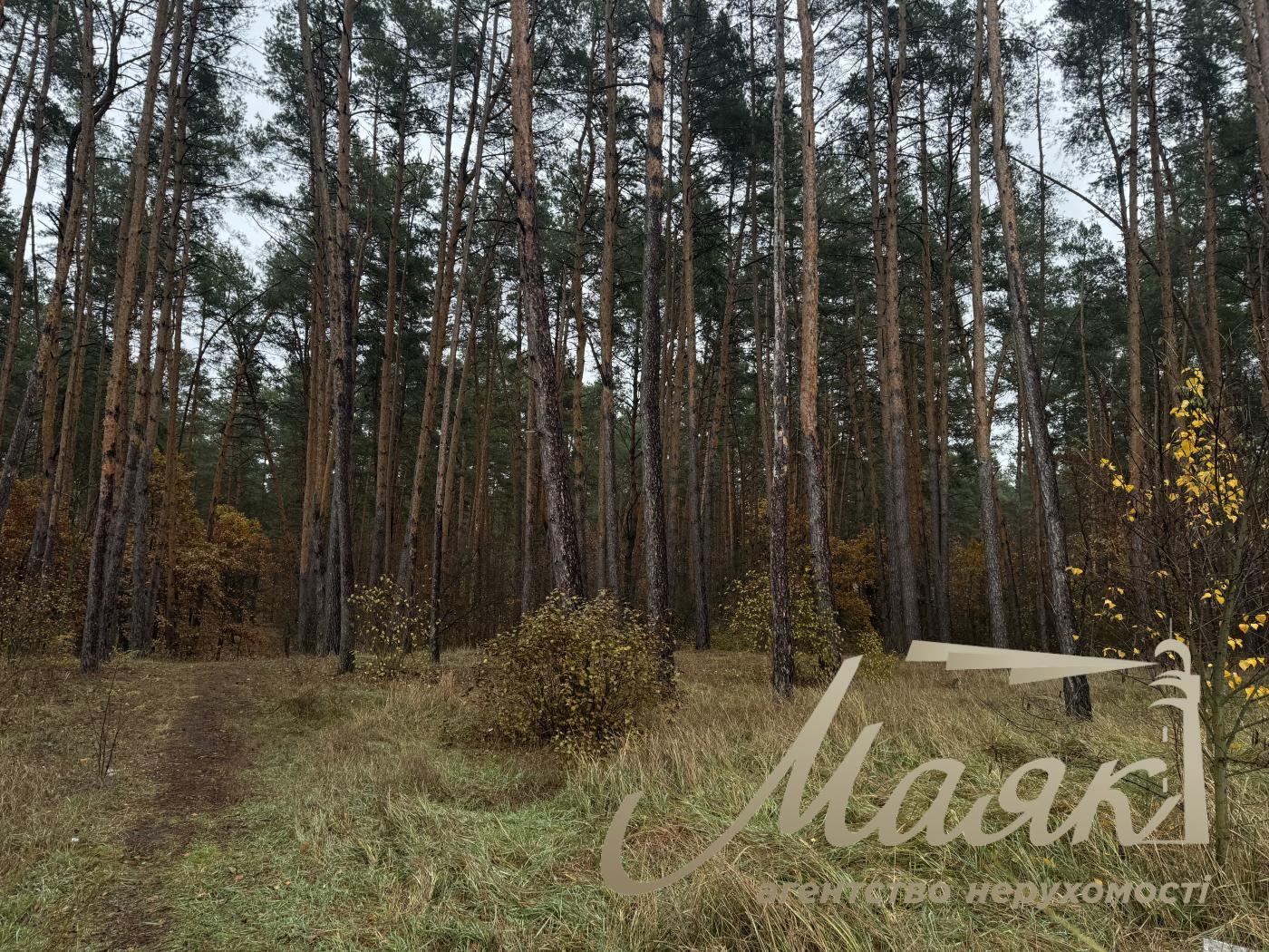 Sale of land in Kyiv region 40 acres + 20 acres for individual construction, Khutor Mrigi, Koncha Zaspa, Goloseevo, Kyiv