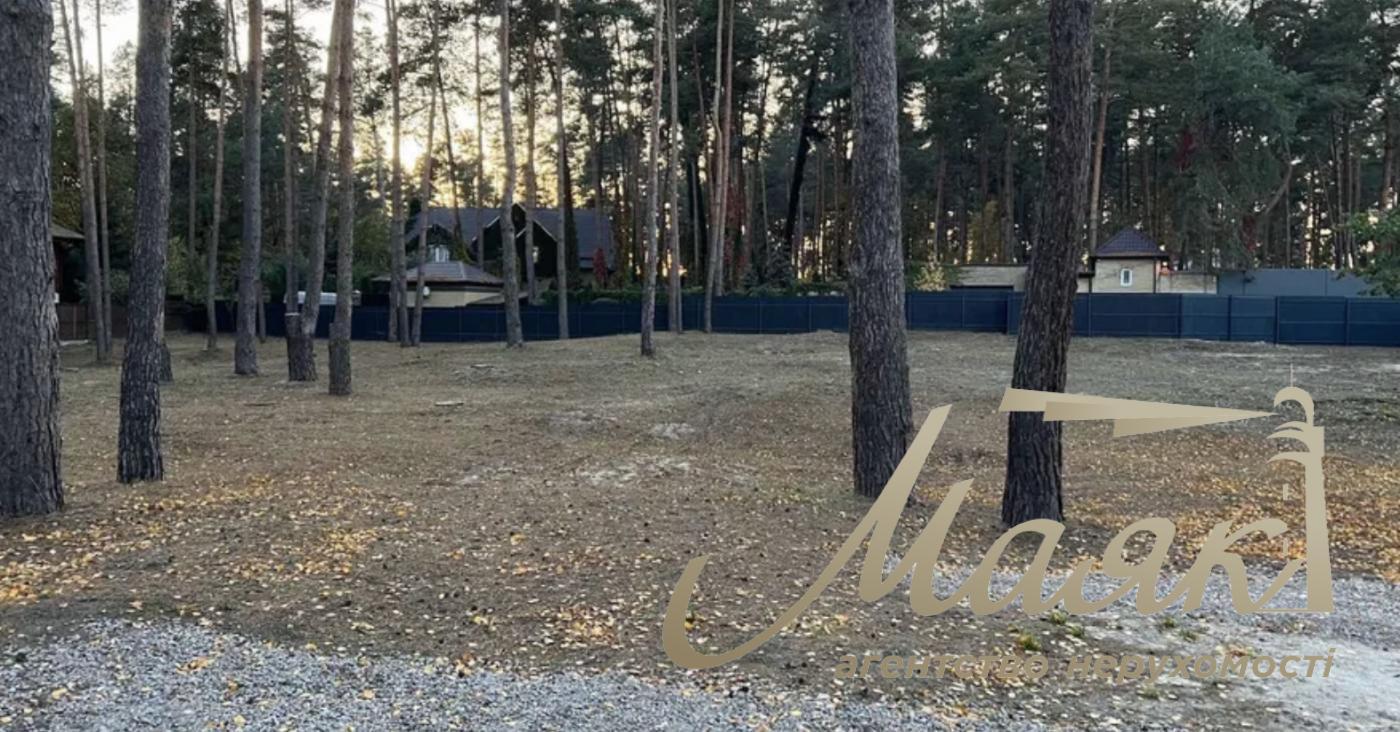 Sale of land plot 42.61 acres, Lesova street, Romankov village. Kievo-Svyatoshinsky district