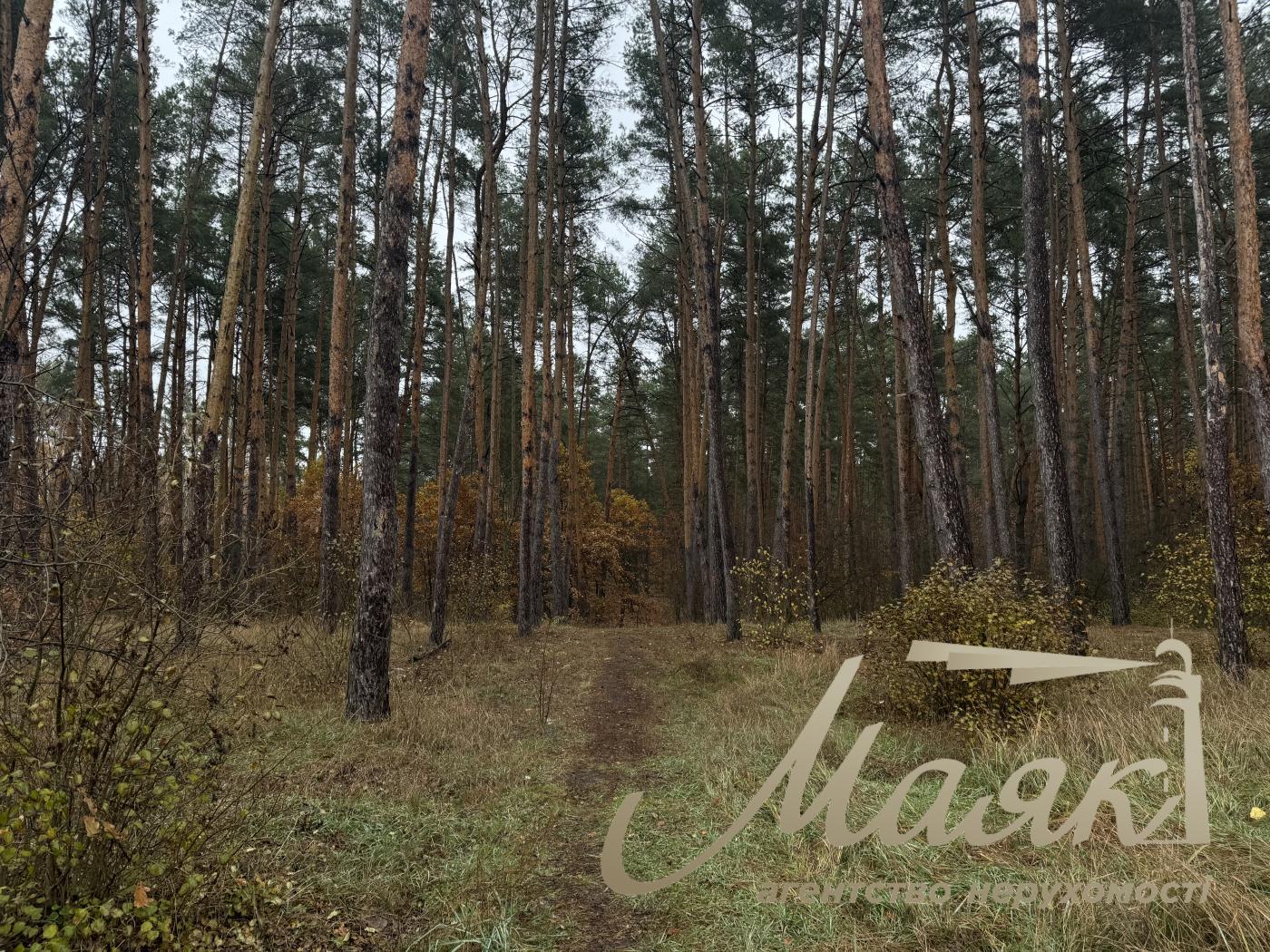 Sale of land in Kyiv region 40 acres + 20 acres for individual construction, Khutor Mrigi, Koncha Zaspa, Goloseevo, Kyiv