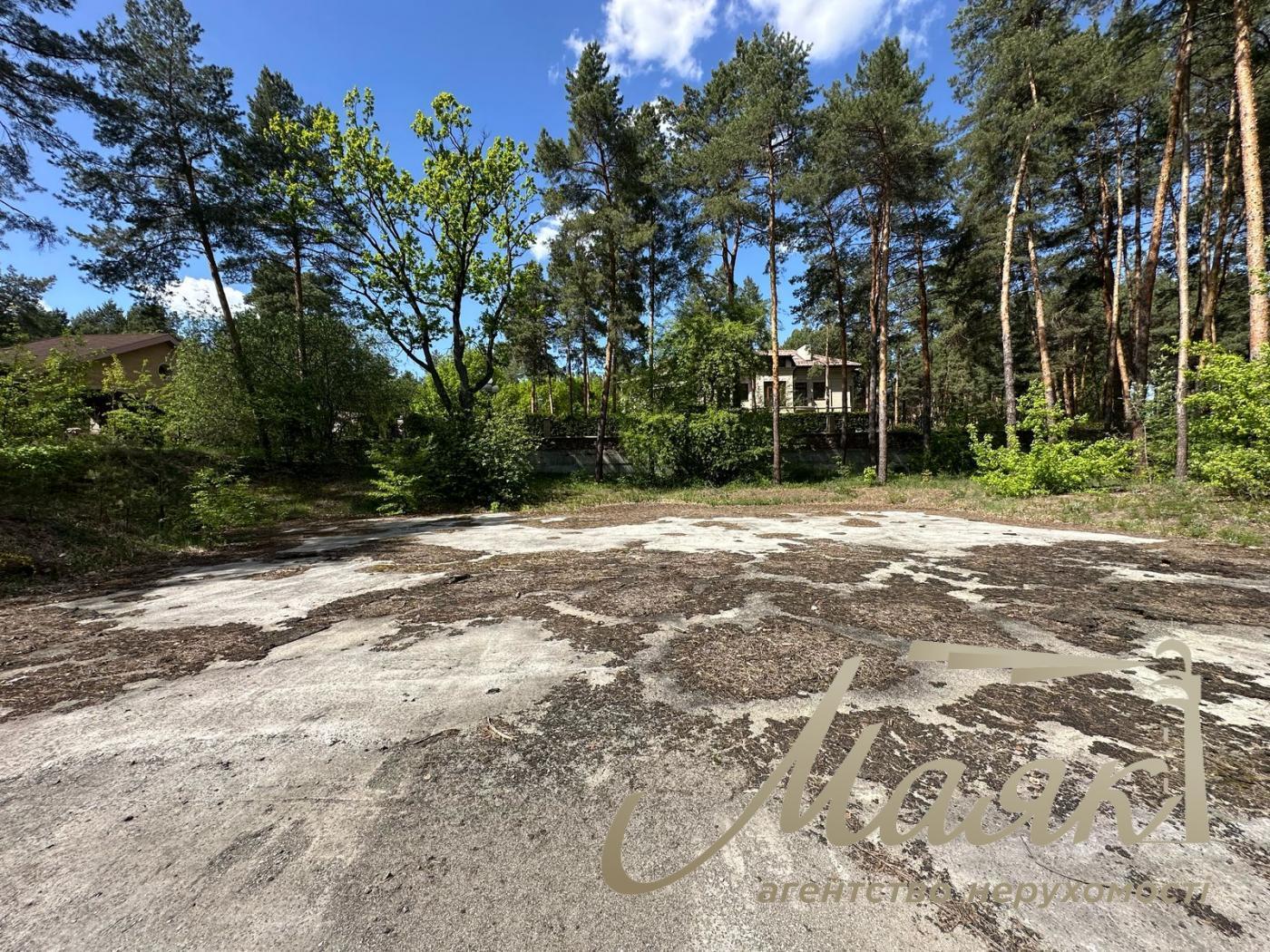 Sale of a plot of land in the forest in the city of Koncha-Zaspa.