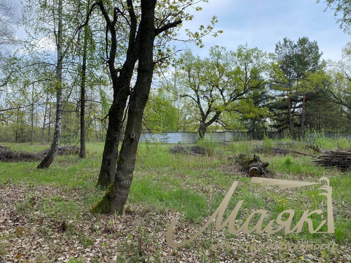 Sale of land for cottage town Koncha-Zaspa. Kozin village