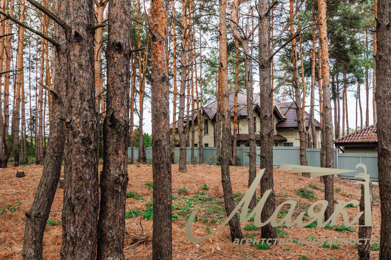 Buy a plot in the forest! s. Zastugna 20 acres