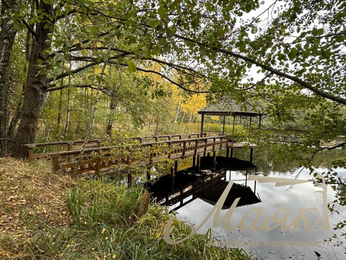 Sale of land with forest and access to the Dnieper. village Yasnogorodka