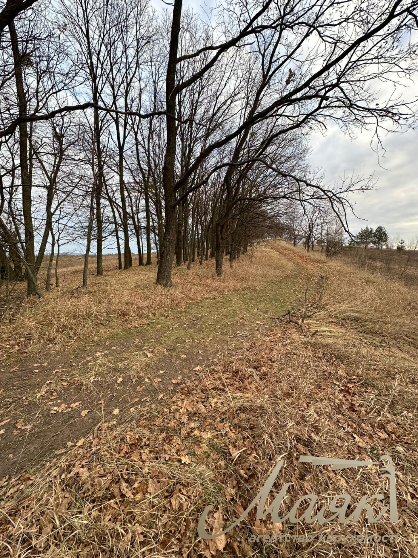 Sale of land for agricultural purposes Shkolnaya, Khodosovka village