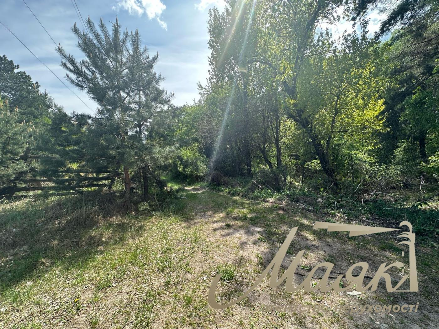 For sale plot of land in the forest in Koncha-Zaspa. KG Sosnovy Bor.
