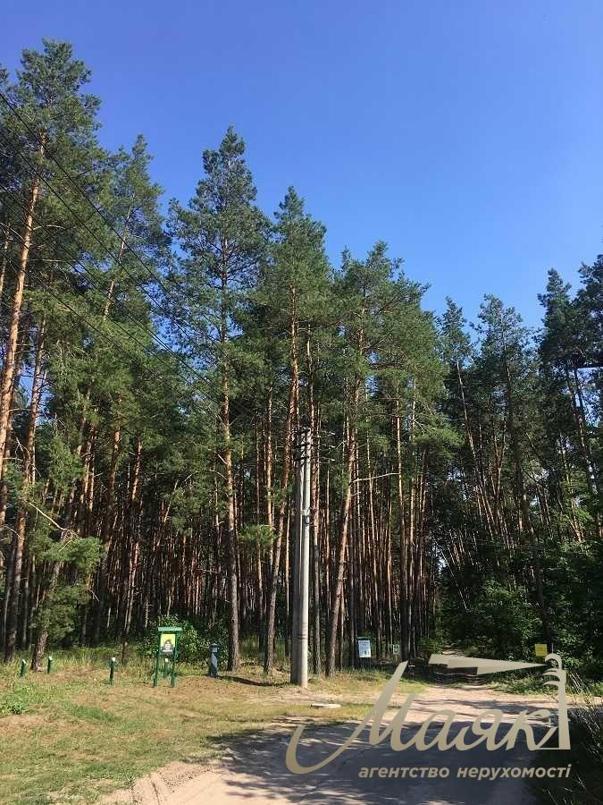 Sale of land for construction in the village of Mrigi, Kyiv region.