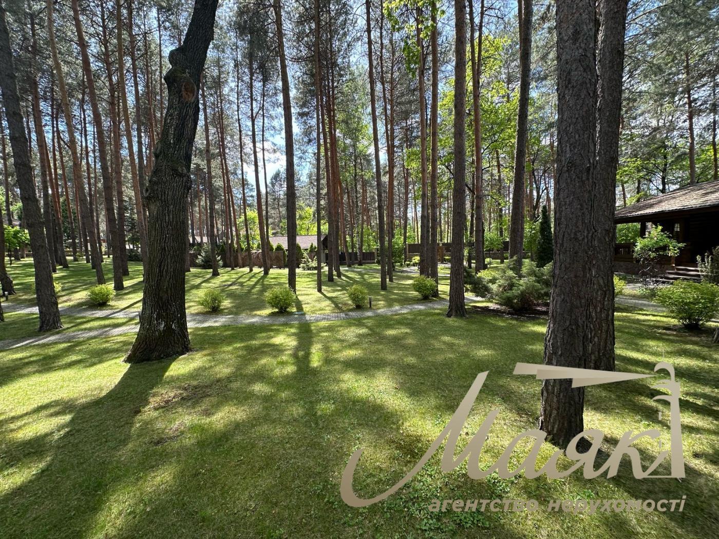 Sale of a plot of land in the forest in the city of Koncha-Zaspa.