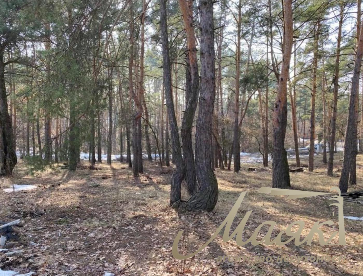 Sale. Land for individual construction, Beregovaya St., Kozin