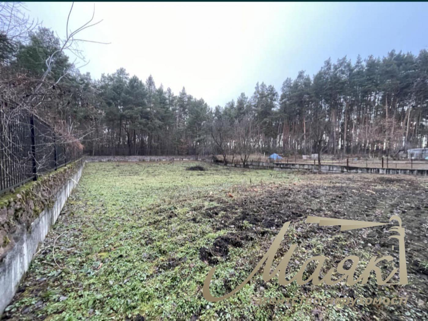 Sale of land for individual construction in the forest. Belogorodka village.
