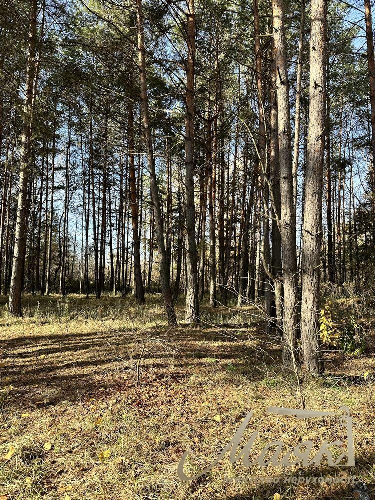 Продаж земельної ділянки 2,8 Га в лісовій частині Нової Ходосівки