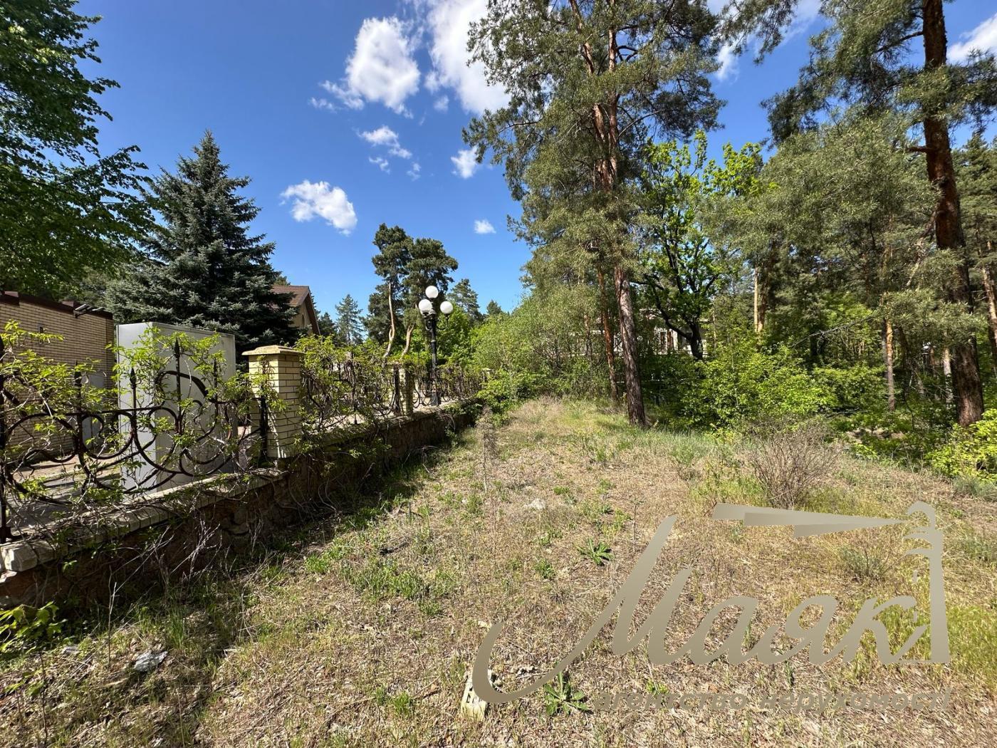 Sale of a plot of land in the forest in the city of Koncha-Zaspa.