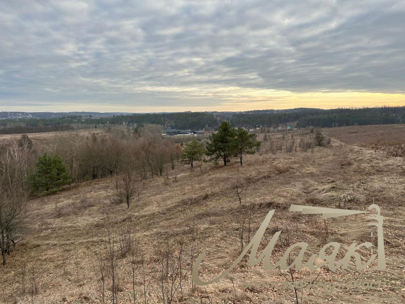 Sale of land for a cottage town, Khodosovka village