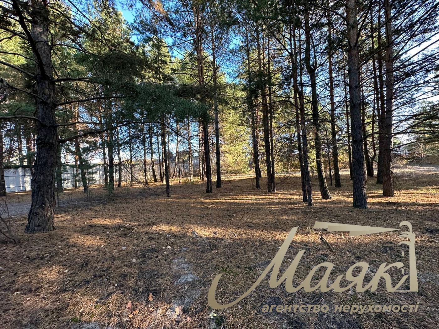 Sale of land in the forest in a cottage town. Koncha-Zaspa district.