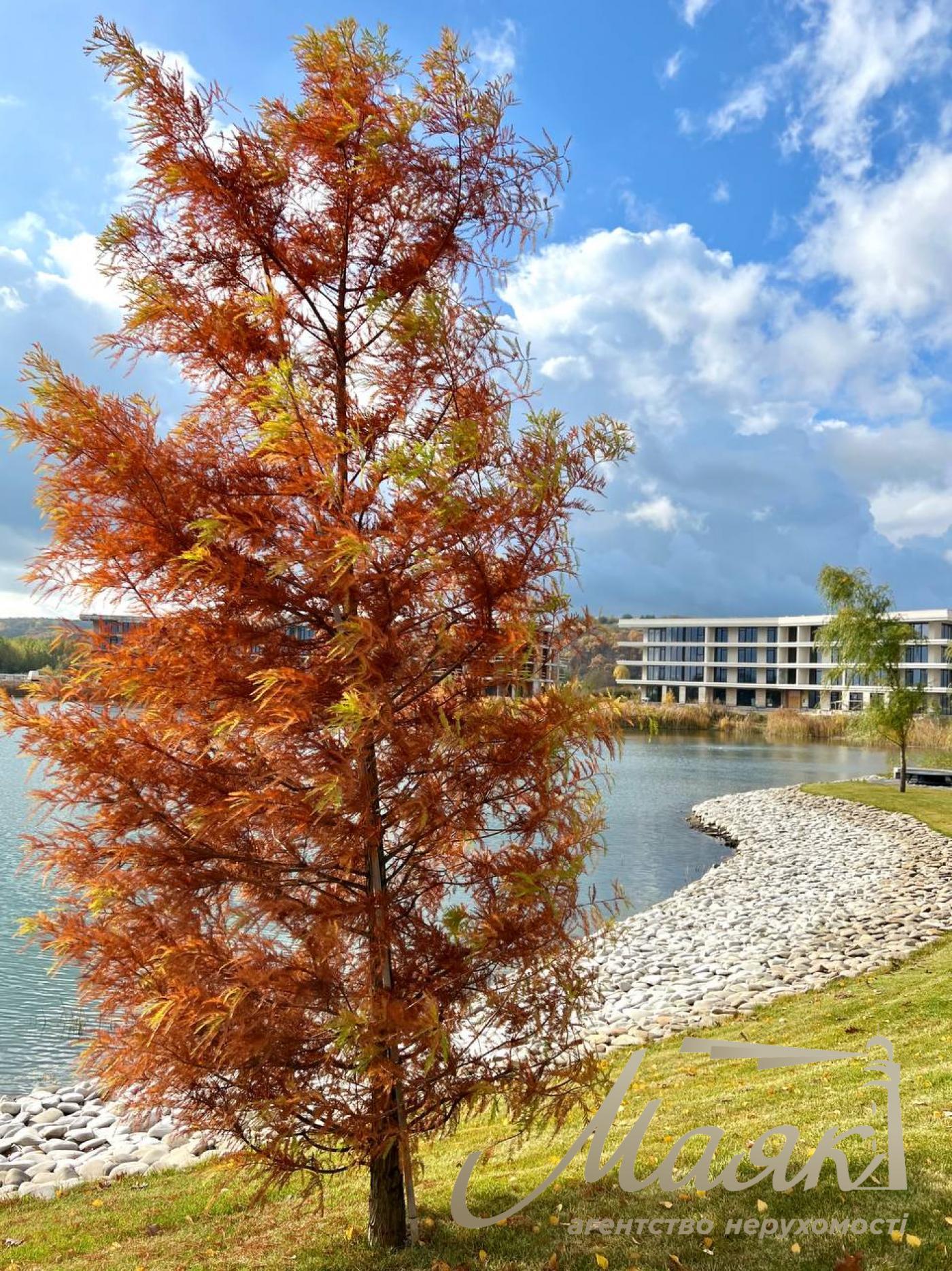 Sale of a 3-room apartment with a view in the Park Lake City residential complex, Podgortsy, Novoobukhovskoye direction.