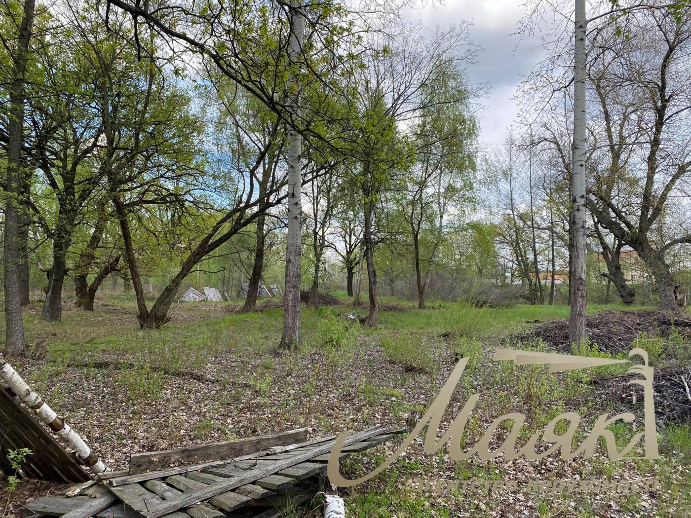 Sale of land for individual construction in the forest. Belogorodka village.
