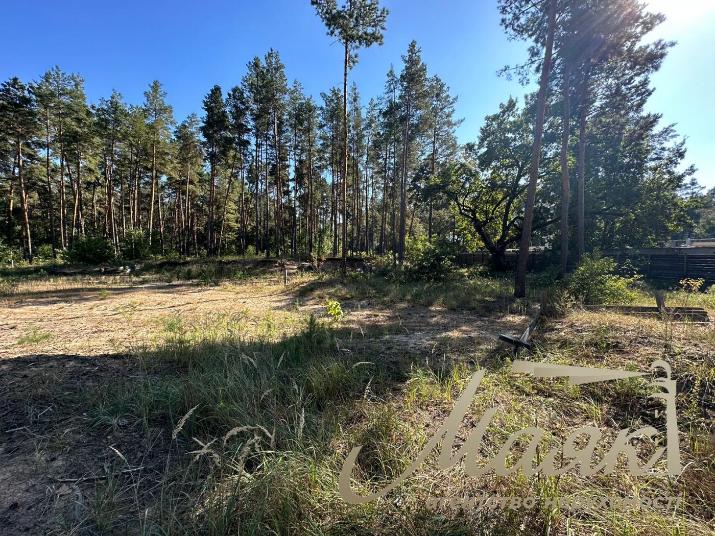 Sale of land in the forest for construction of a town. Koncha-Zaspa.