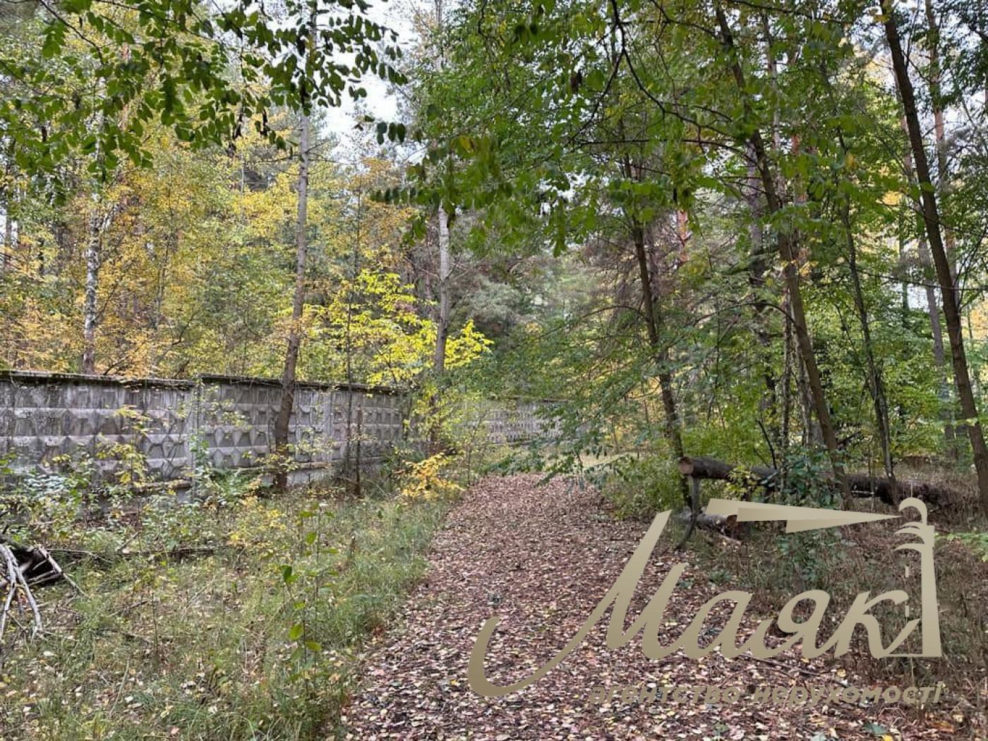 Sale of land with forest and access to the Dnieper. village Yasnogorodka