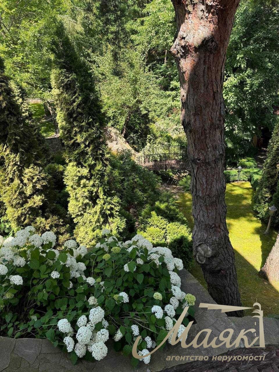 Оренда будинку з басейном у Лісниках, з приголомшливою ділянкою.