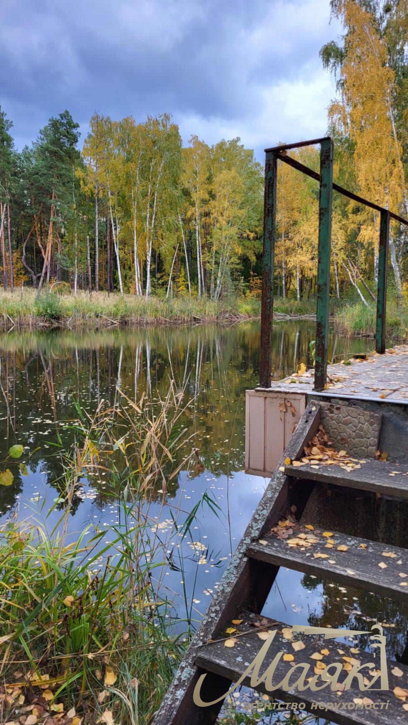 Sale of land with forest and access to the Dnieper. village Yasnogorodka