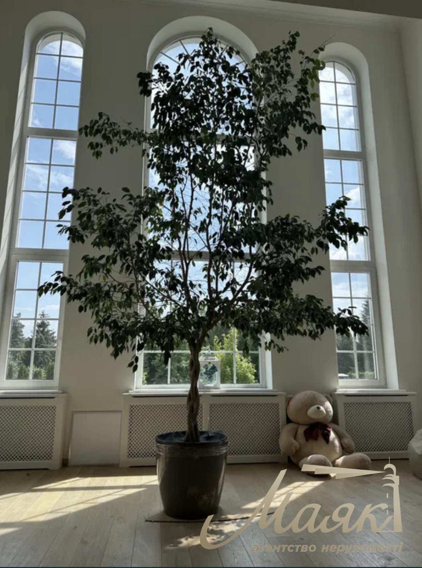 Аренда дома под Киевом, 15 мин.от Печерска,с. Конча Заспа