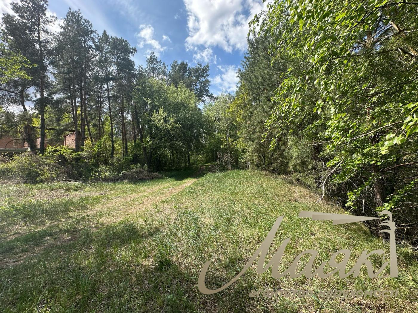 For sale plot of land in the forest in Koncha-Zaspa. KG Sosnovy Bor.
