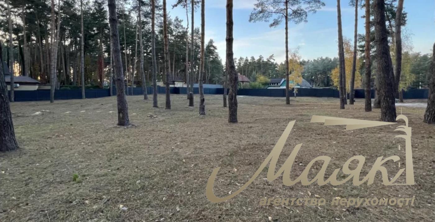 Sale of land plot 42.61 acres, Lesova street, Romankov village. Kievo-Svyatoshinsky district