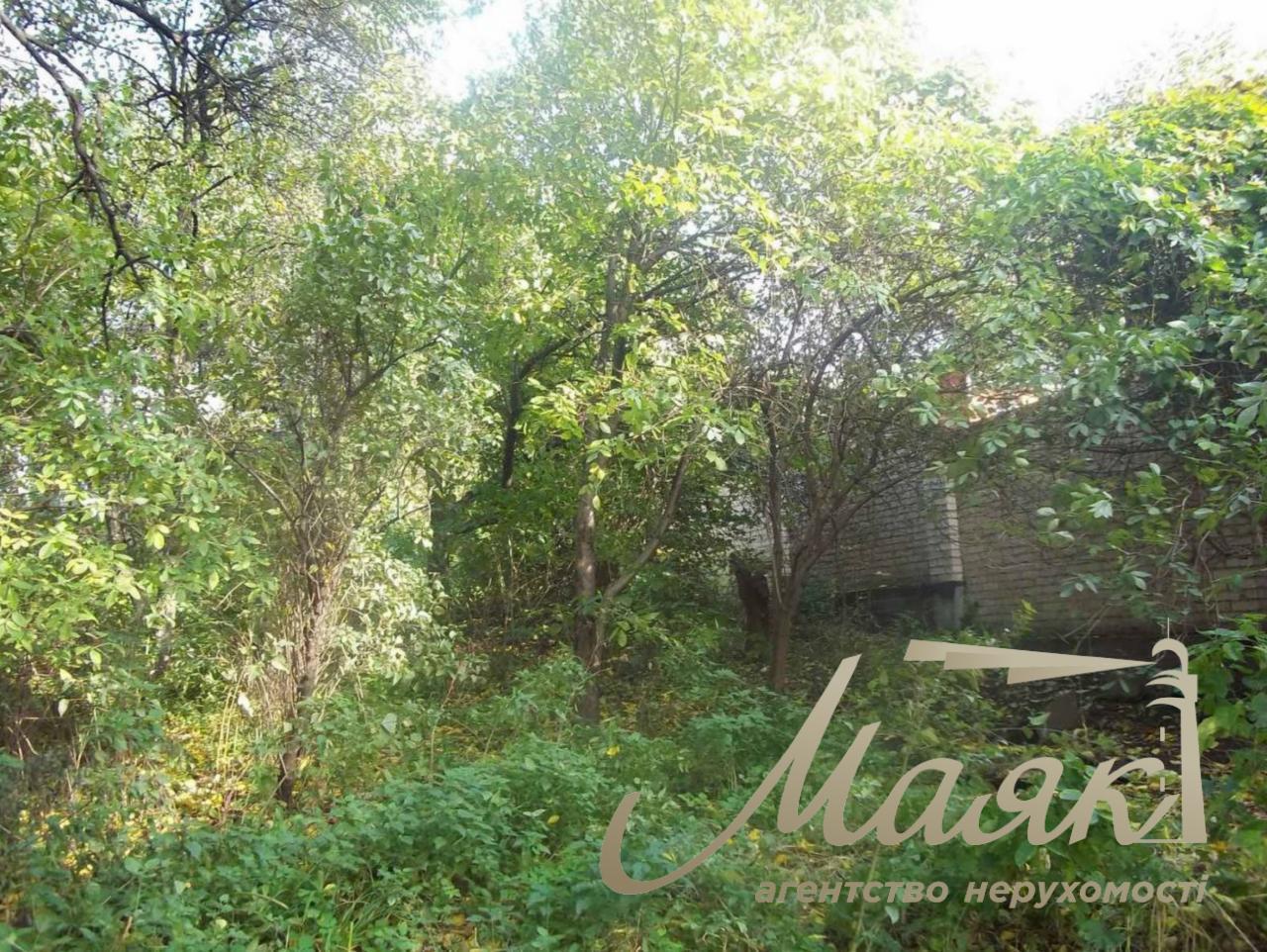 Sale of land in Zverinets 10 hectares