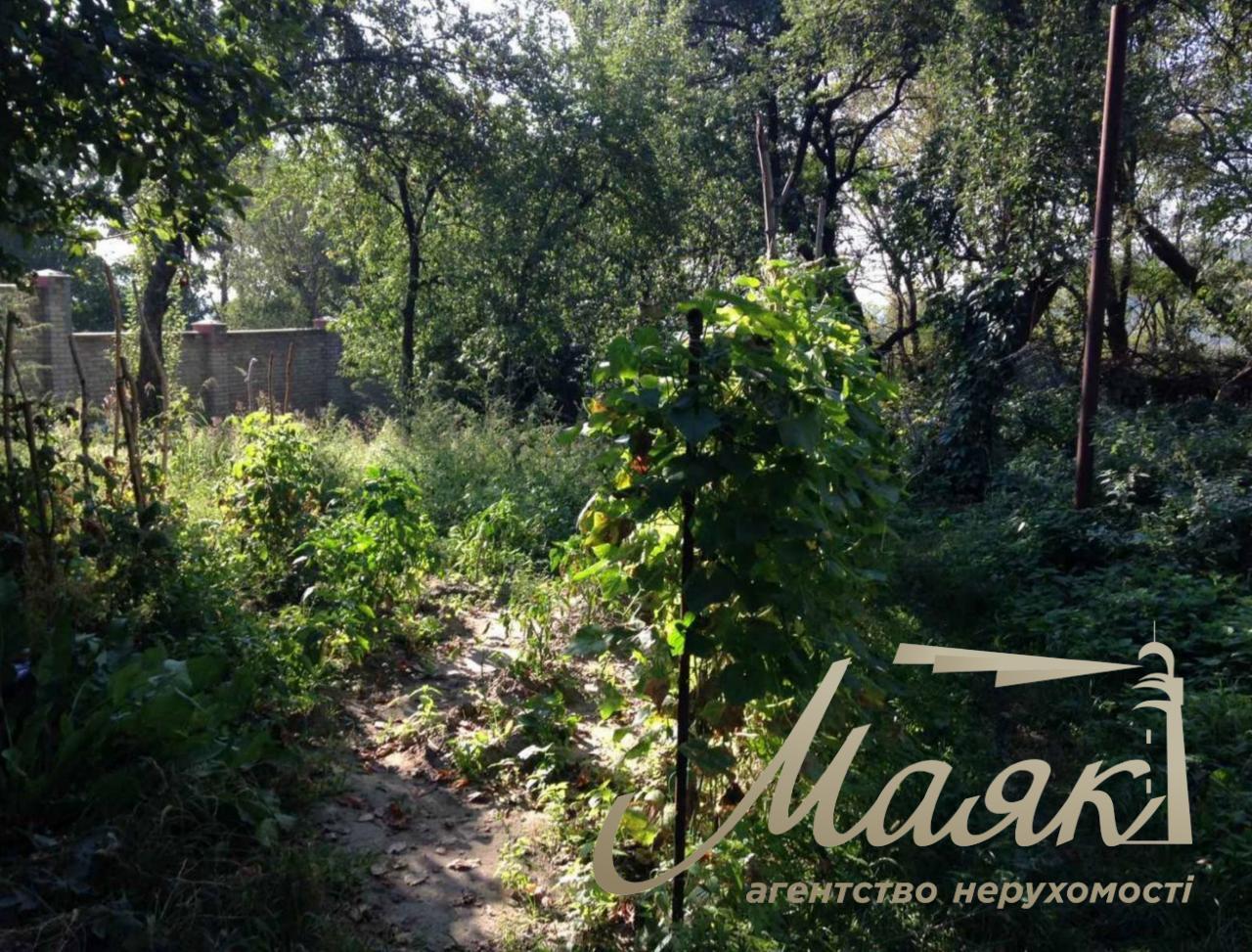 Sale of land in Zverinets 10 hectares