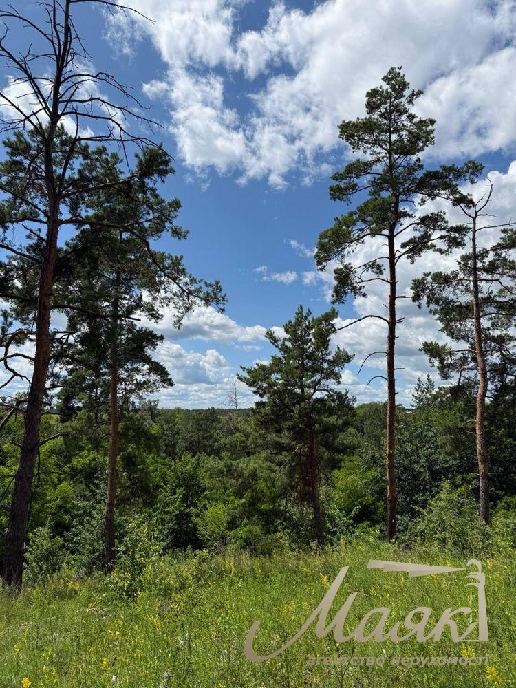 Продаж видових земельних ділянок від 14 до 40 соток у Лісниках, Києво-Святошинський район.