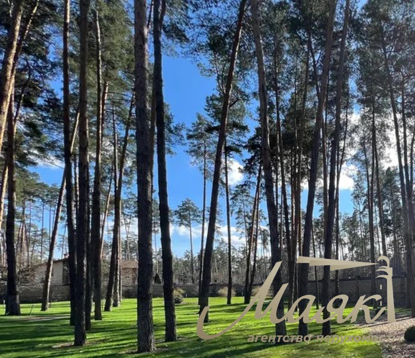 Продаж будинку з ремонтом у лісі, Рудики, Обухівський район, Конча-Заспа. Ділянка 80 соток.