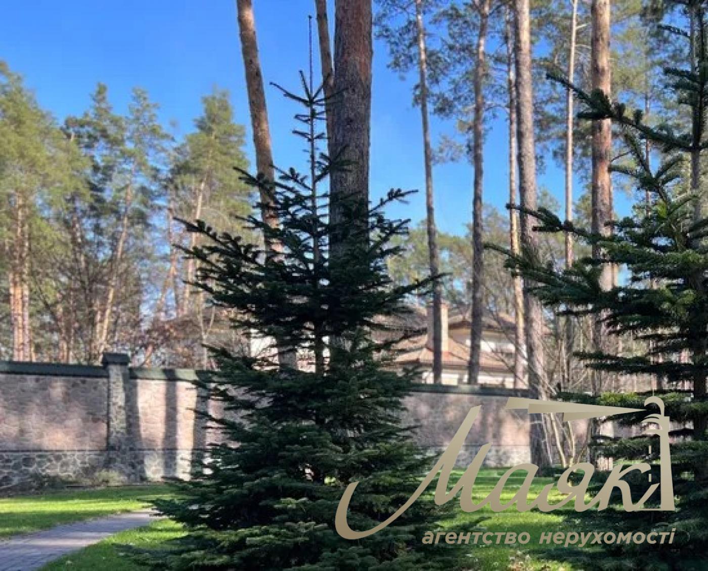 Продаж будинку з ремонтом у лісі, Рудики, Обухівський район, Конча-Заспа. Ділянка 80 соток.