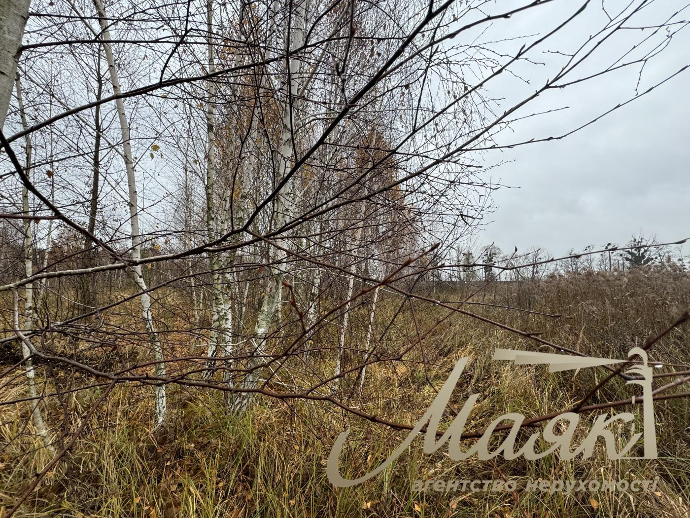 Sale of land in Kyiv region 40 acres + 20 acres for individual construction, Khutor Mrigi, Koncha Zaspa, Goloseevo, Kyiv