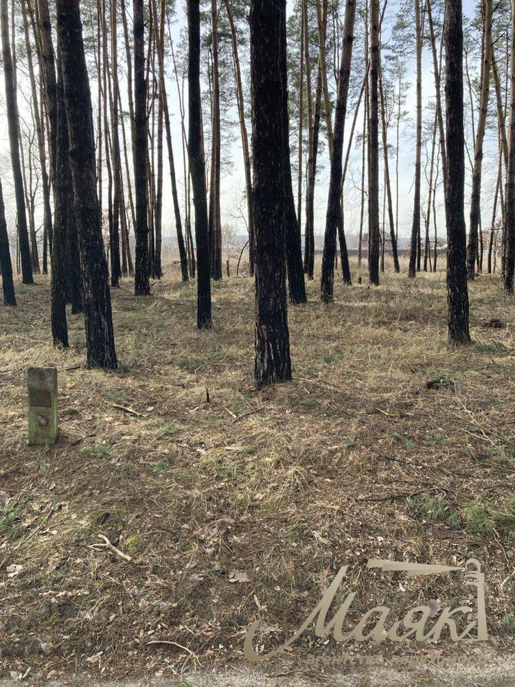 Sale of land for construction in the village of Mrigi, Kyiv region.