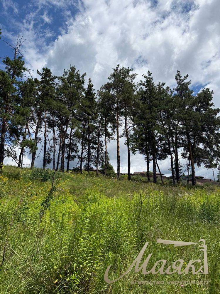 Продаж видових земельних ділянок від 14 до 40 соток у Лісниках, Києво-Святошинський район.