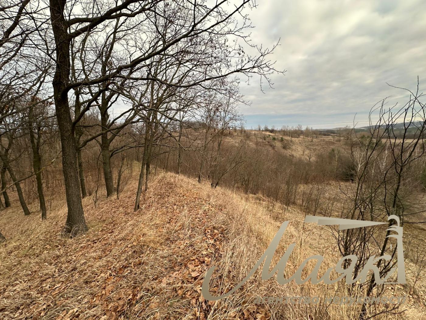 Sale of land for agricultural purposes Shkolnaya, Khodosovka village
