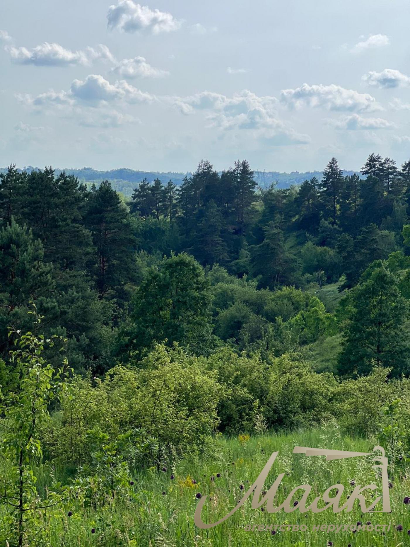 Sale of land for a cottage town, Khodosovka village