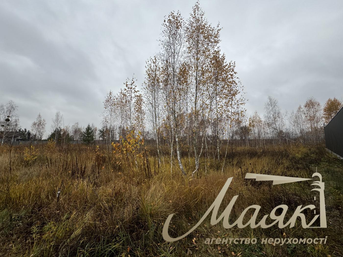 Sale of land in Kyiv region 40 acres + 20 acres for individual construction, Khutor Mrigi, Koncha Zaspa, Goloseevo, Kyiv