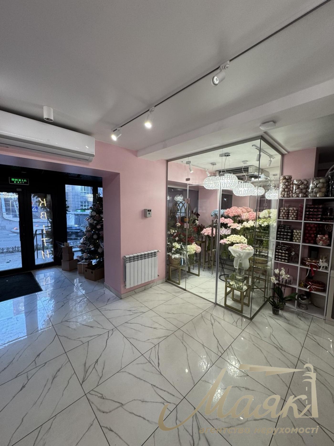 Продаж комерційного приміщення 50 м.кв. вул. В. Тютюнника, Печерськ