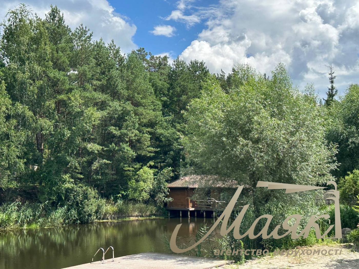 Продаж резиденції з двох будинків на 60 сотках землі на Хуторі Мриги, Голосіївський район.