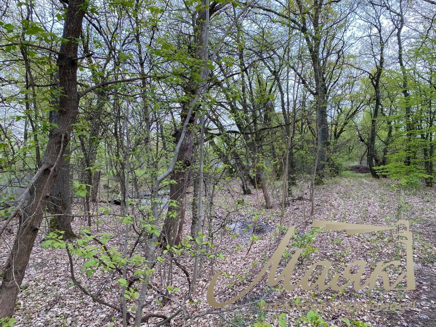 Sale of land for cottage town Koncha-Zaspa. Kozin village