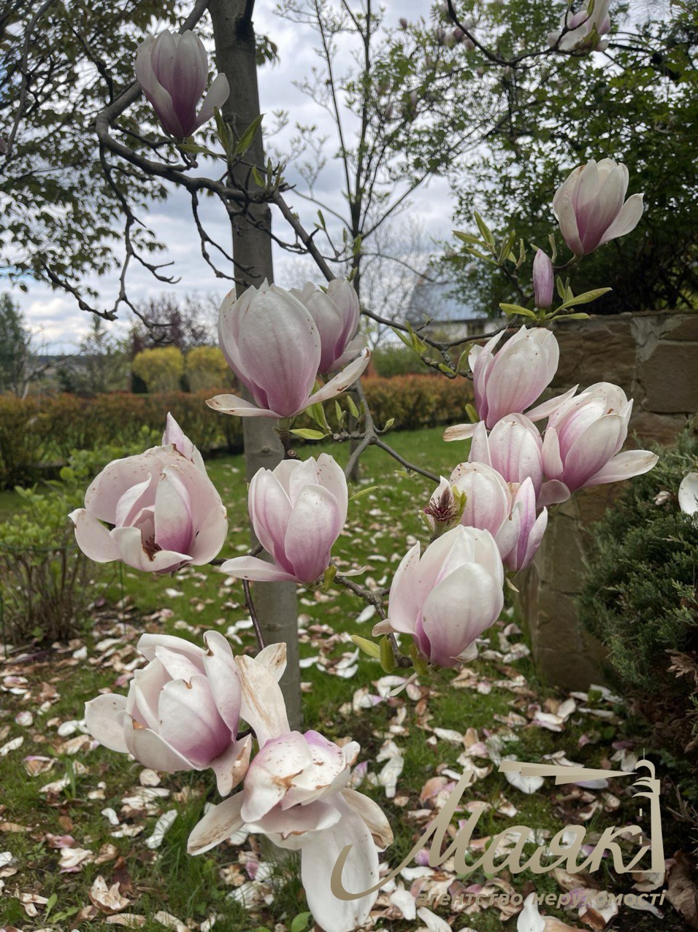 Продаж будинку 500 кв.м у Лісовому