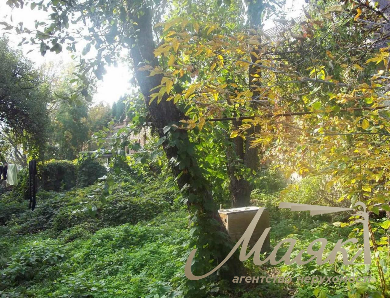 Sale of land in Zverinets 10 hectares