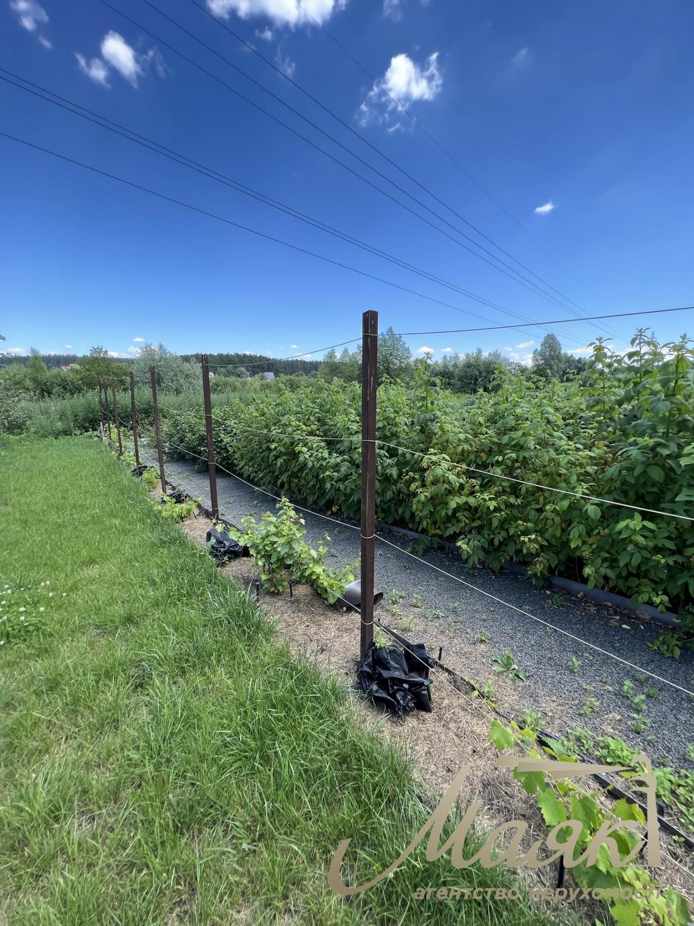 Sale. Land for individual construction, Lesnaya St., Khodosovka