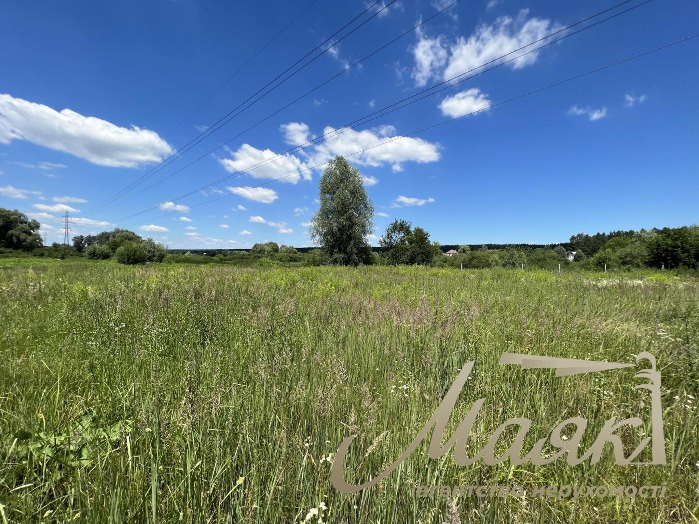 Sale of land with a lake and forest in the village of Khodosovka