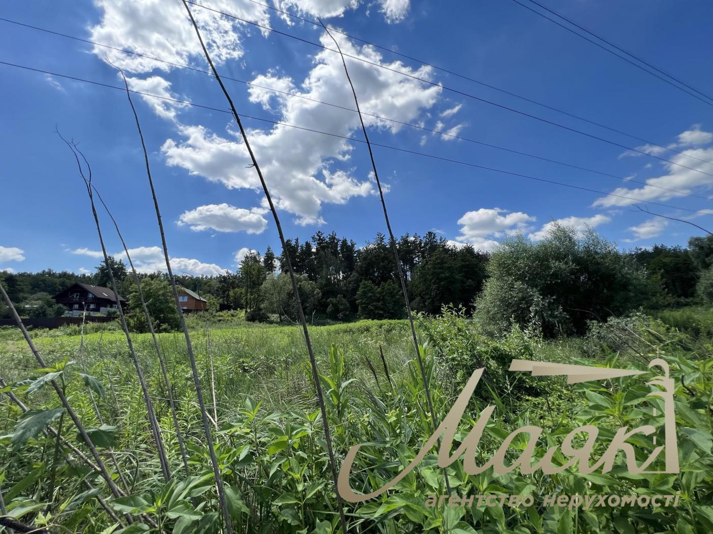 Sale of land with a lake and forest in the village of Khodosovka