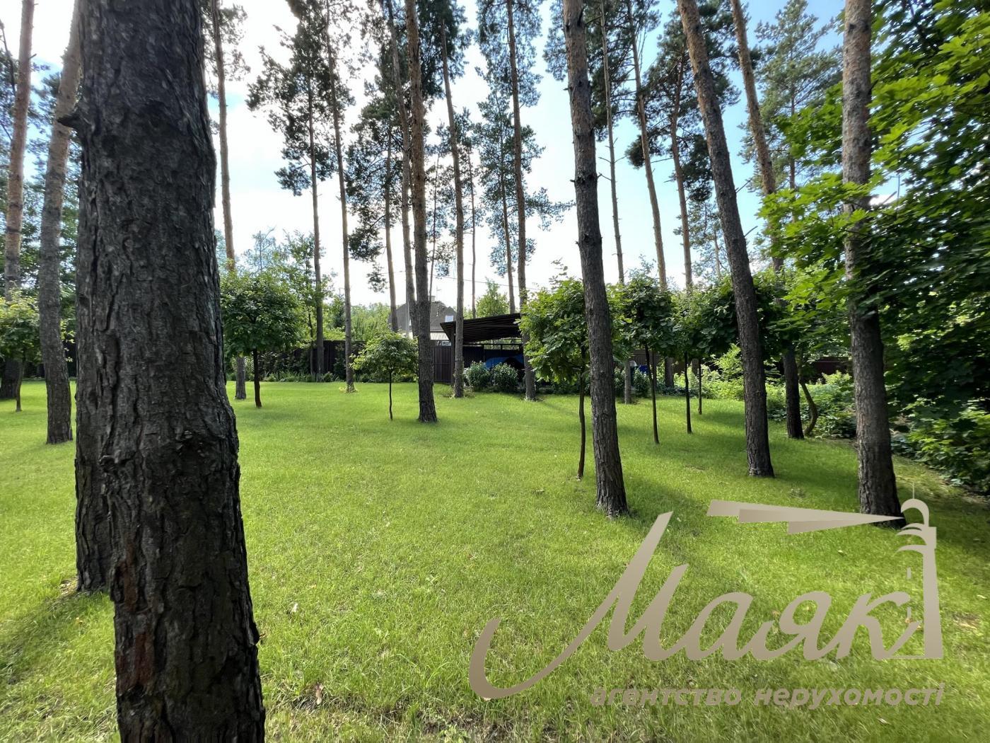 Sale of land with a lake and forest in the village of Khodosovka