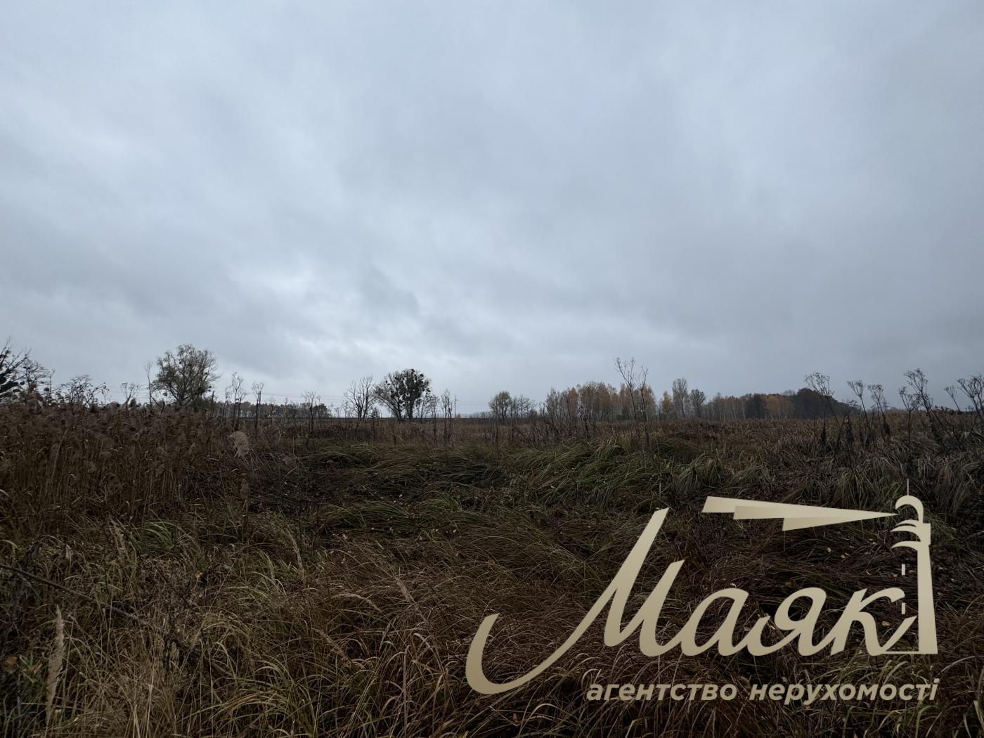 Sale of land in Kyiv region 40 acres + 20 acres for individual construction, Khutor Mrigi, Koncha Zaspa, Goloseevo, Kyiv